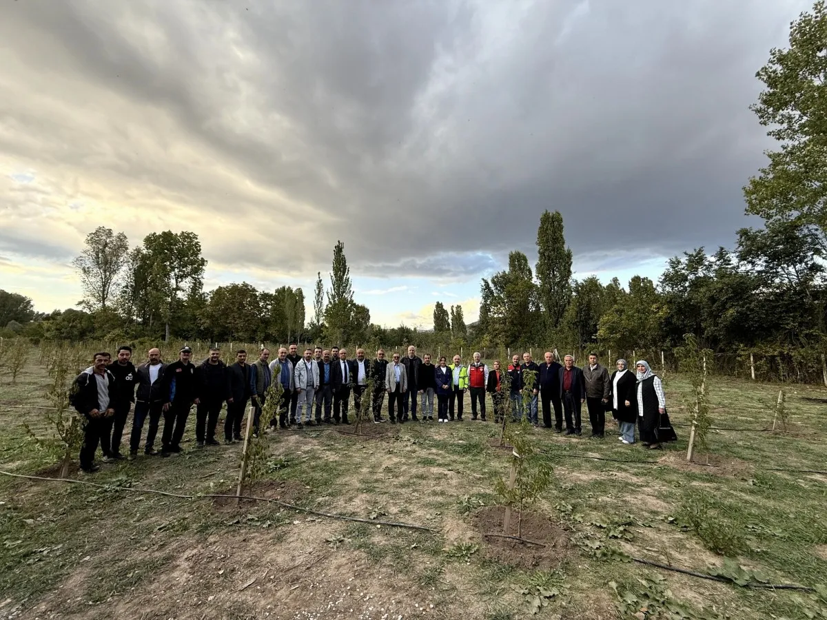 Çankırı Belediyesinin kızılcık bahçesi ilk meyvelerini verdi