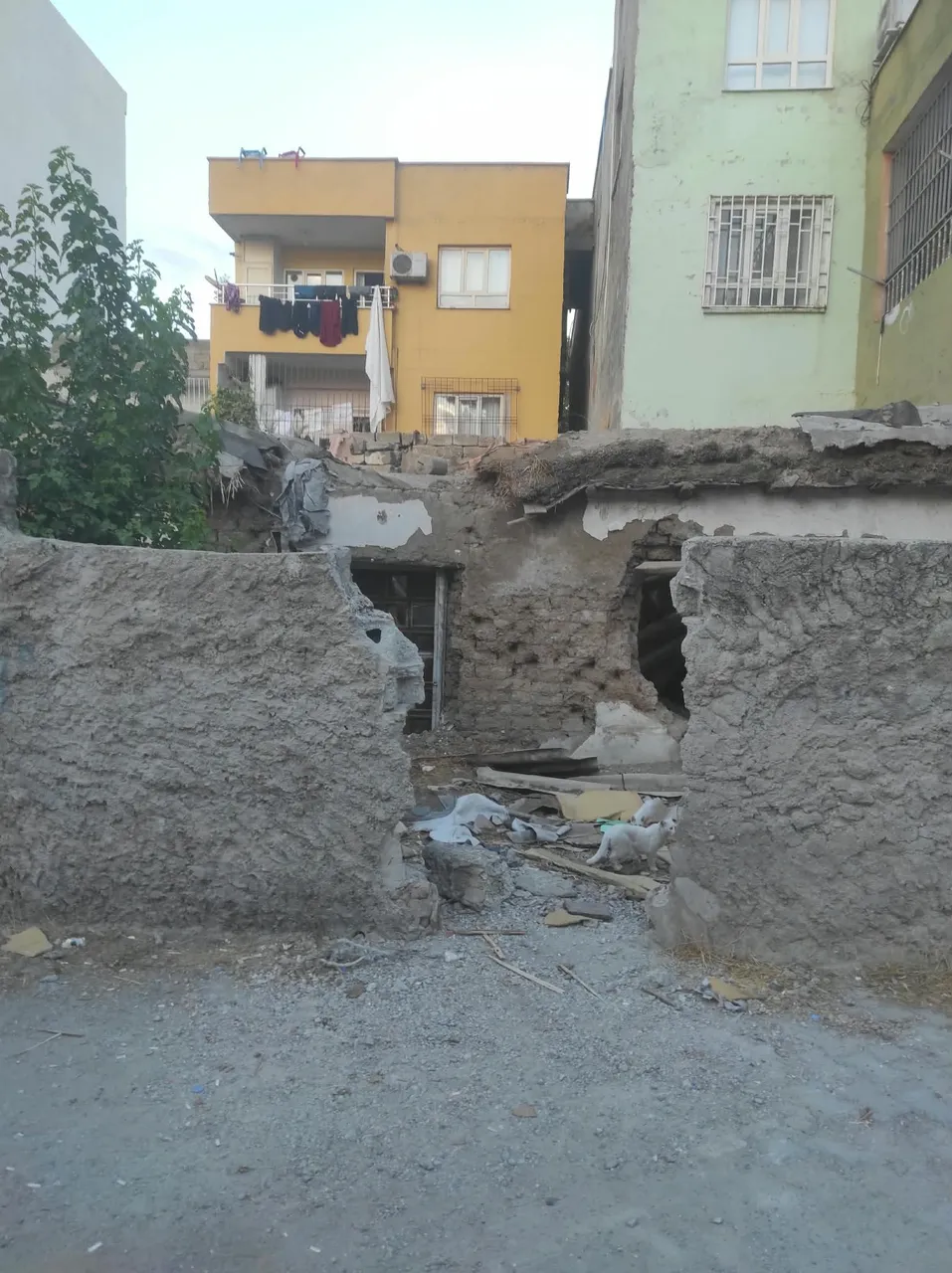 Tespit edilen metruk binalar yıkılıyor