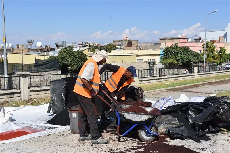 Siirt’te parklar ve yeşil alanlar daha güvenli ve kullanışlı hale getiriliyor
