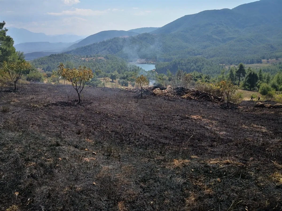 Bucak Kaymakamı KURUCA, Çamlık Köyünde çıkan ve kontrol altına alınarak söndürülen orman yangınının meydana geldiği bölgede incelemelerde bulundu