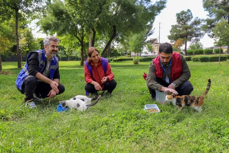 Sokak hayvanları için farkındalık çalışması