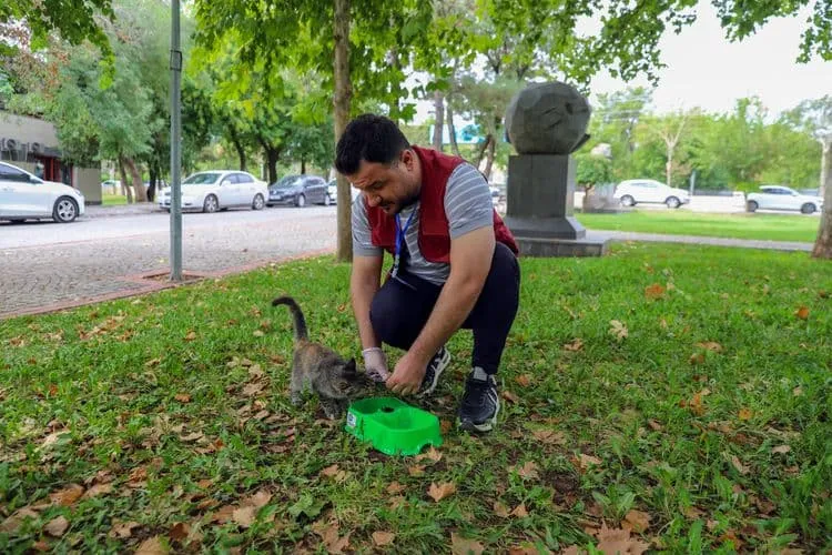 Sokak hayvanları için farkındalık çalışması