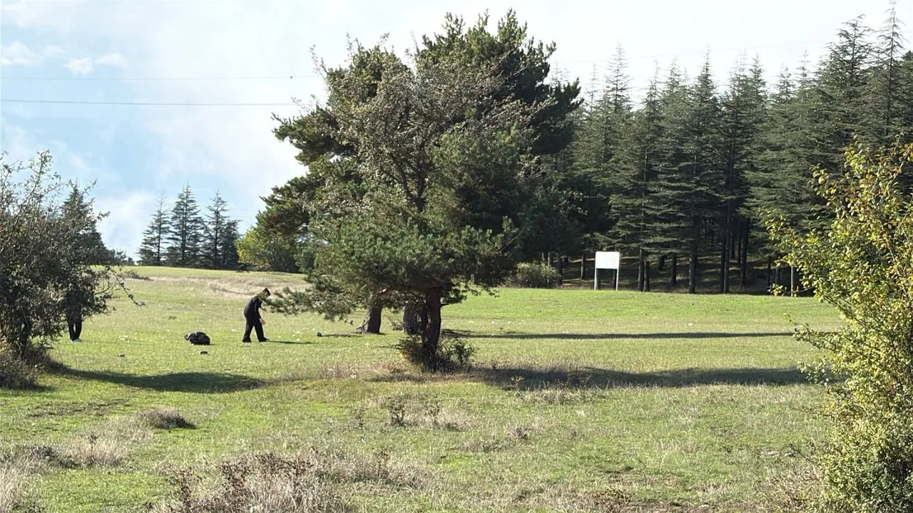 Niksar Belediyesi, doğaya sahip çıkıyor, geleceğe değer katıyor