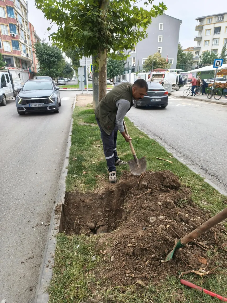 Batman’da yeşil hamle
