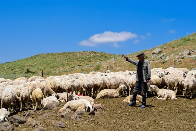 Malatya Büyükşehir Belediyesi 35 yıllık soruna neşter vurdu