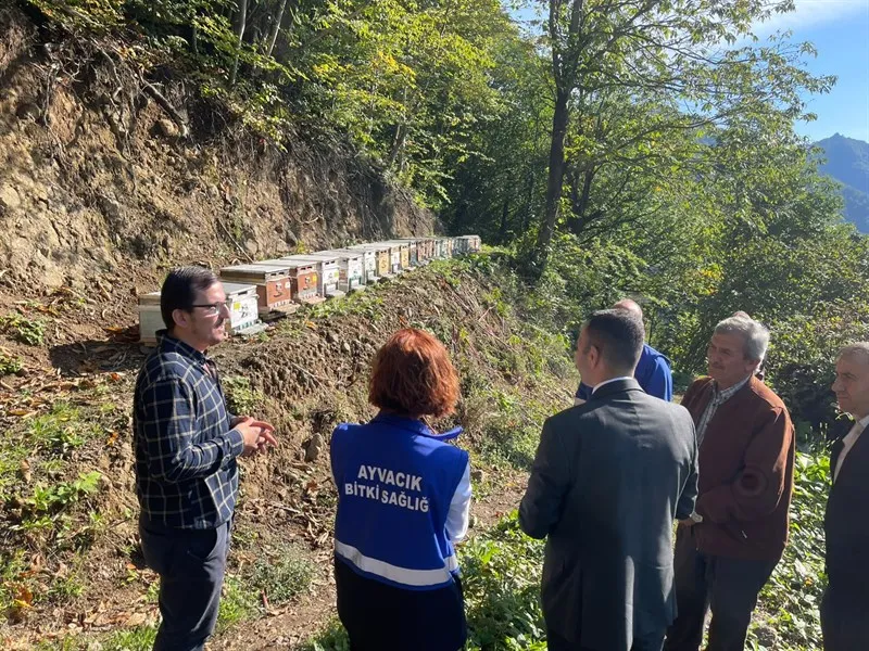 Arı yetiştiriciliği ve doğal bal üretici ziyareti
