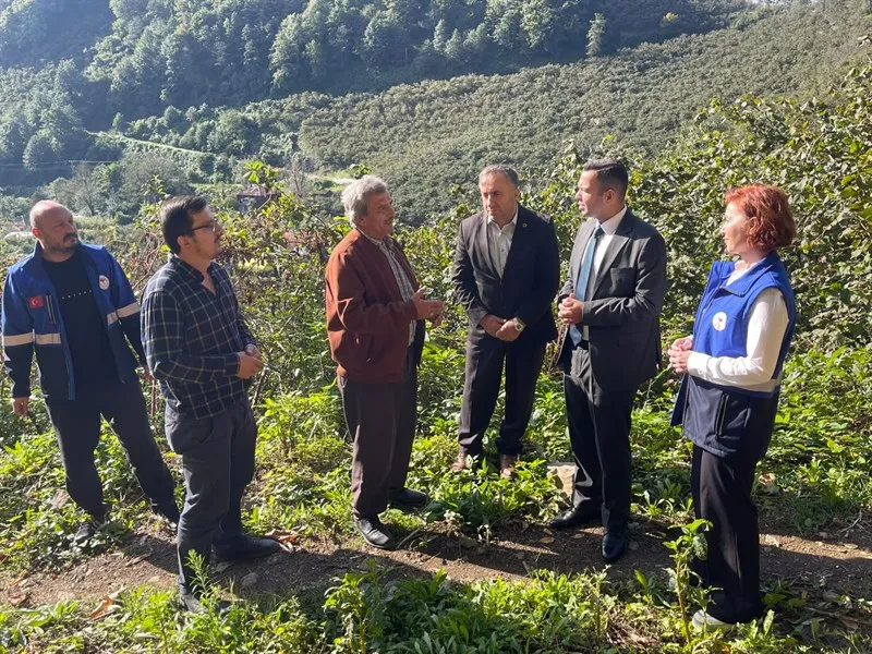 Arı yetiştiriciliği ve doğal bal üretici ziyareti