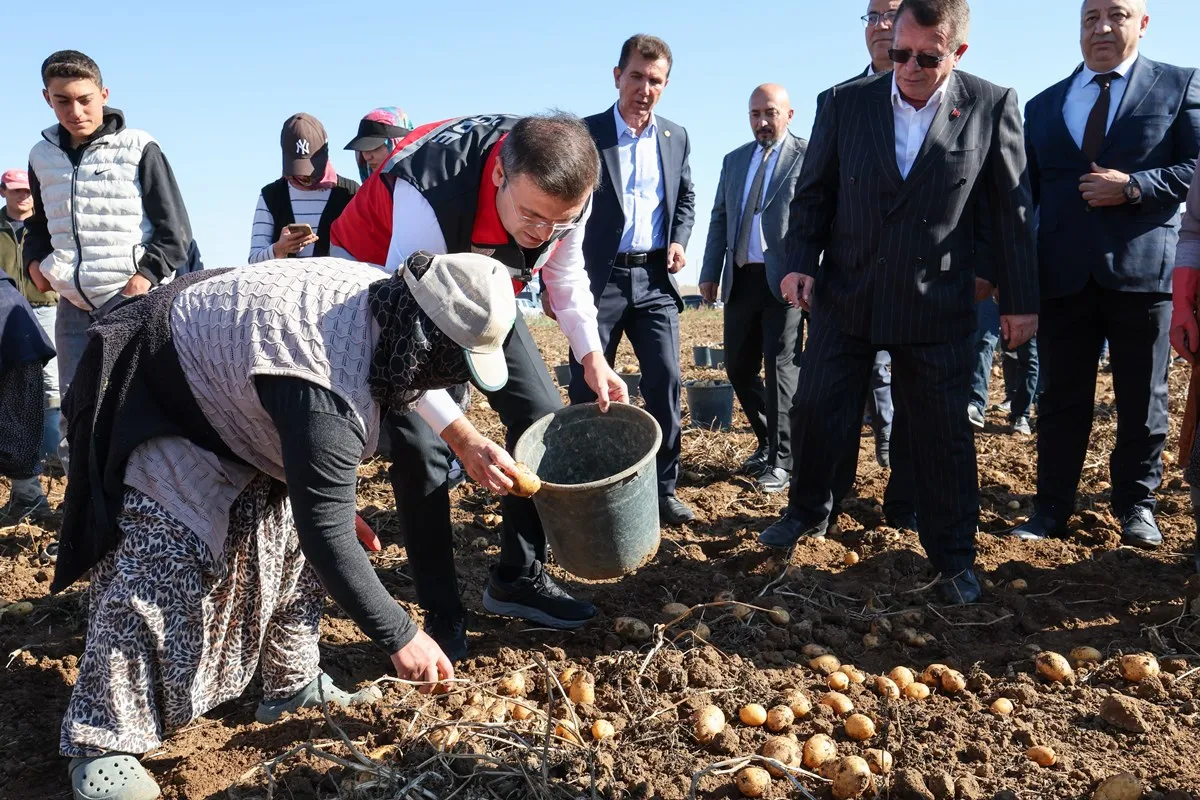 Niğde Valisi Nedim Akmeşe Konaklı beldesinde yerli ve milli patates hasadına katıldı
