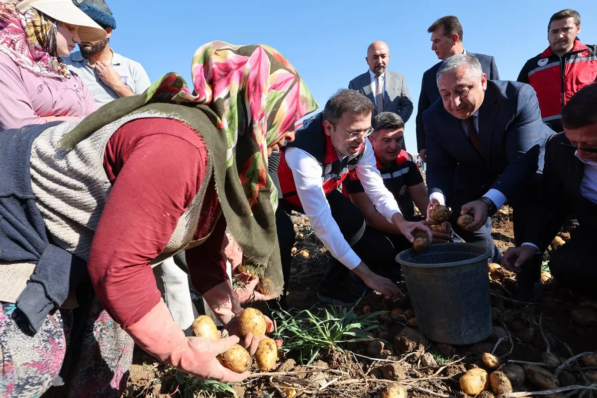 Niğde Valisi Nedim Akmeşe Konaklı beldesinde yerli ve milli patates hasadına katıldı