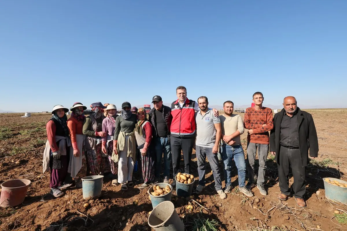 Niğde Valisi Nedim Akmeşe Konaklı beldesinde yerli ve milli patates hasadına katıldı