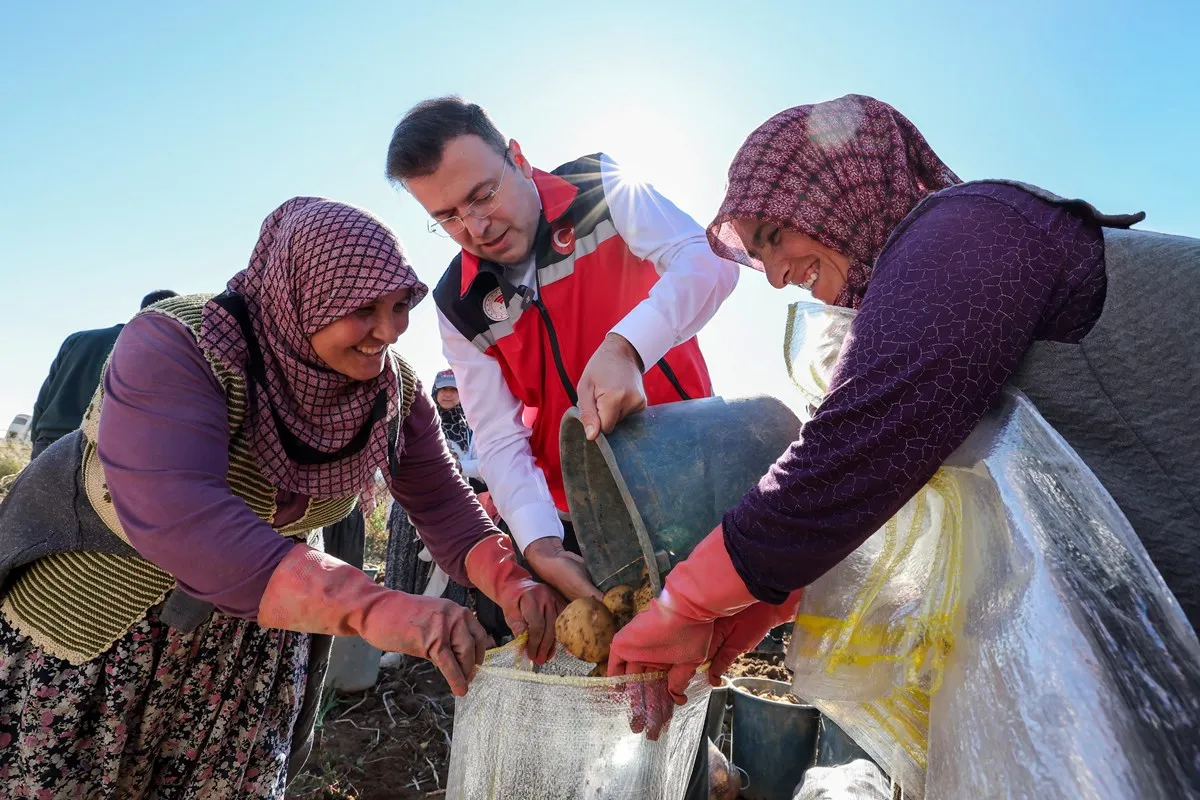 Niğde Valisi Nedim Akmeşe Konaklı beldesinde yerli ve milli patates hasadına katıldı