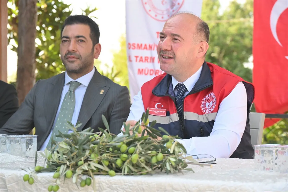 Vali Serdengeçti, zeytin hasadı yaptı