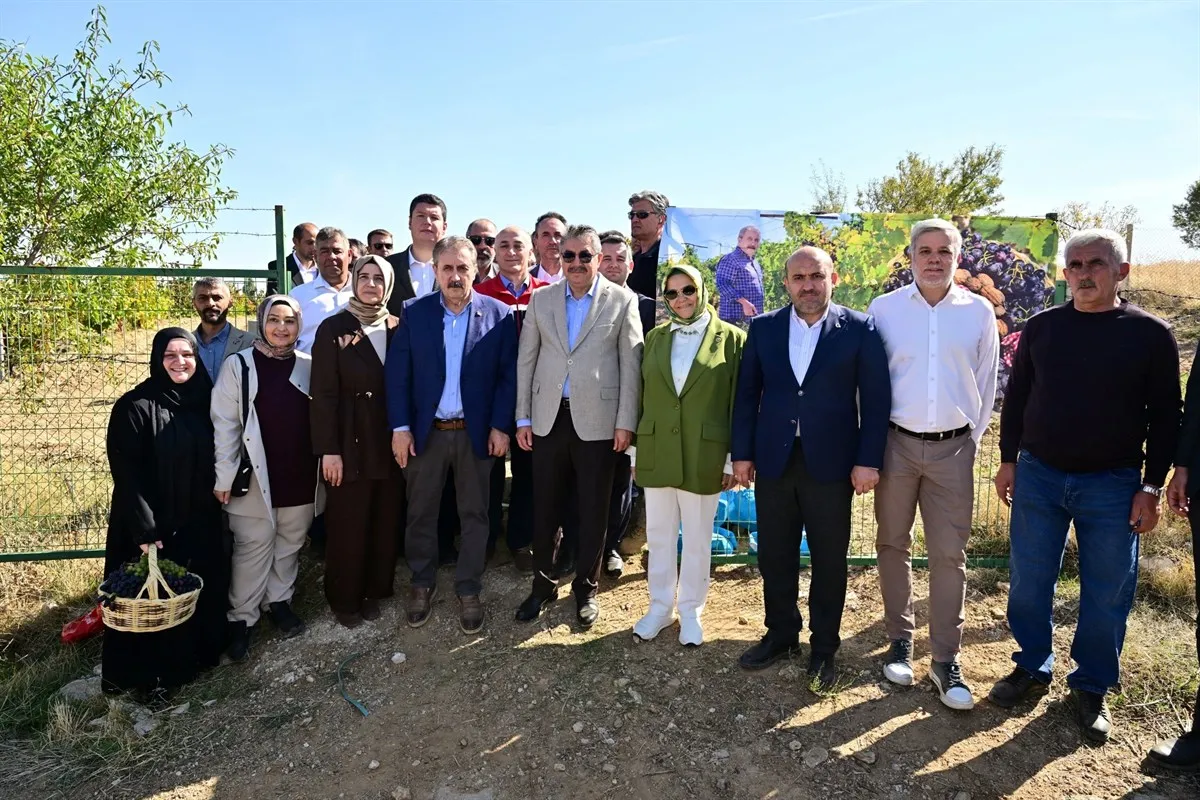 Eskişehir Valisi Yılmaz, Günyüzü Gecek Mahallesi’nde düzenlenen bağbozumu programına katılarak üzüm hasadı yaptı