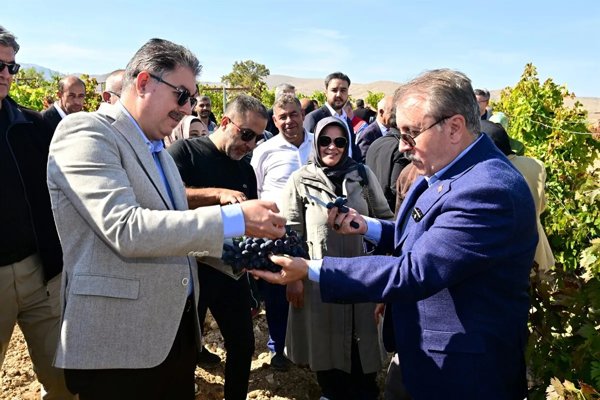 Eskişehir Valisi Yılmaz, Günyüzü Gecek Mahallesi’nde düzenlenen bağbozumu programına katılarak üzüm hasadı yaptı