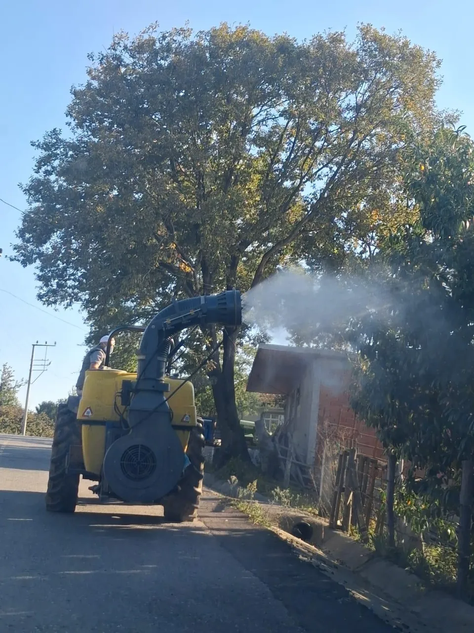 Kahverengi kokarca ile mücadele kapsamında ilaçlama çalışması gerçekleştirildi