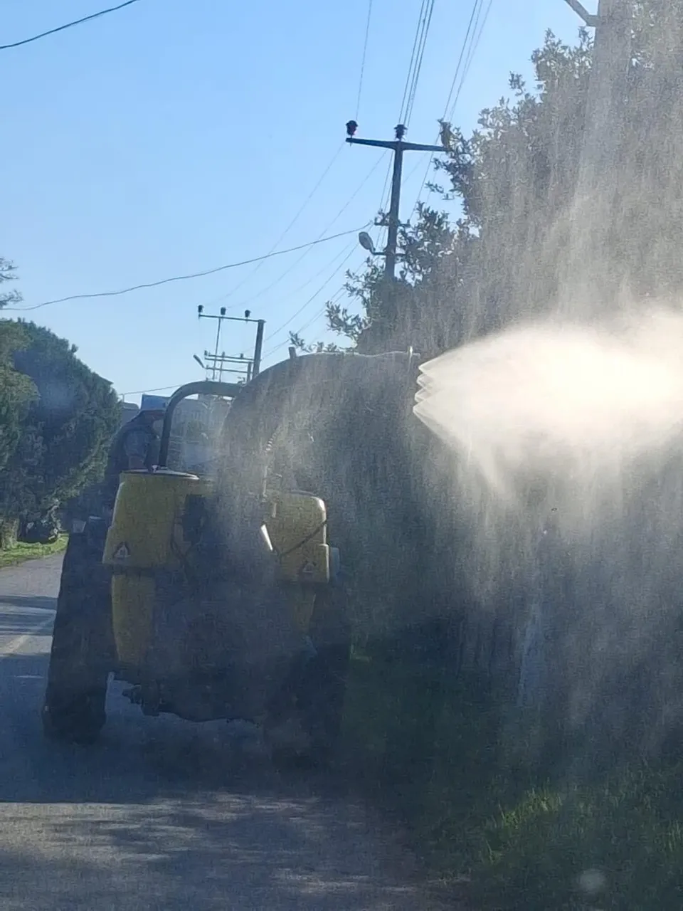Kahverengi kokarca ile mücadele kapsamında ilaçlama çalışması gerçekleştirildi