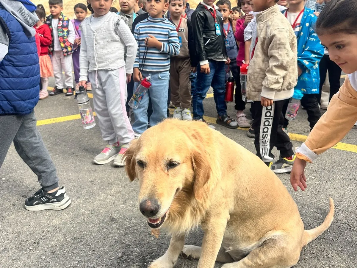Minik öğrencilerden can dostlara ziyaret