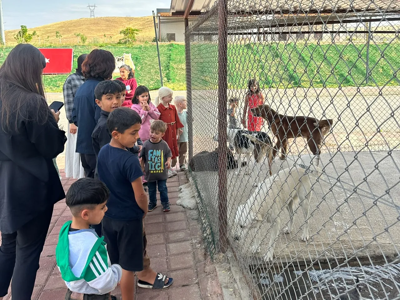 Minik öğrencilerden can dostlara ziyaret