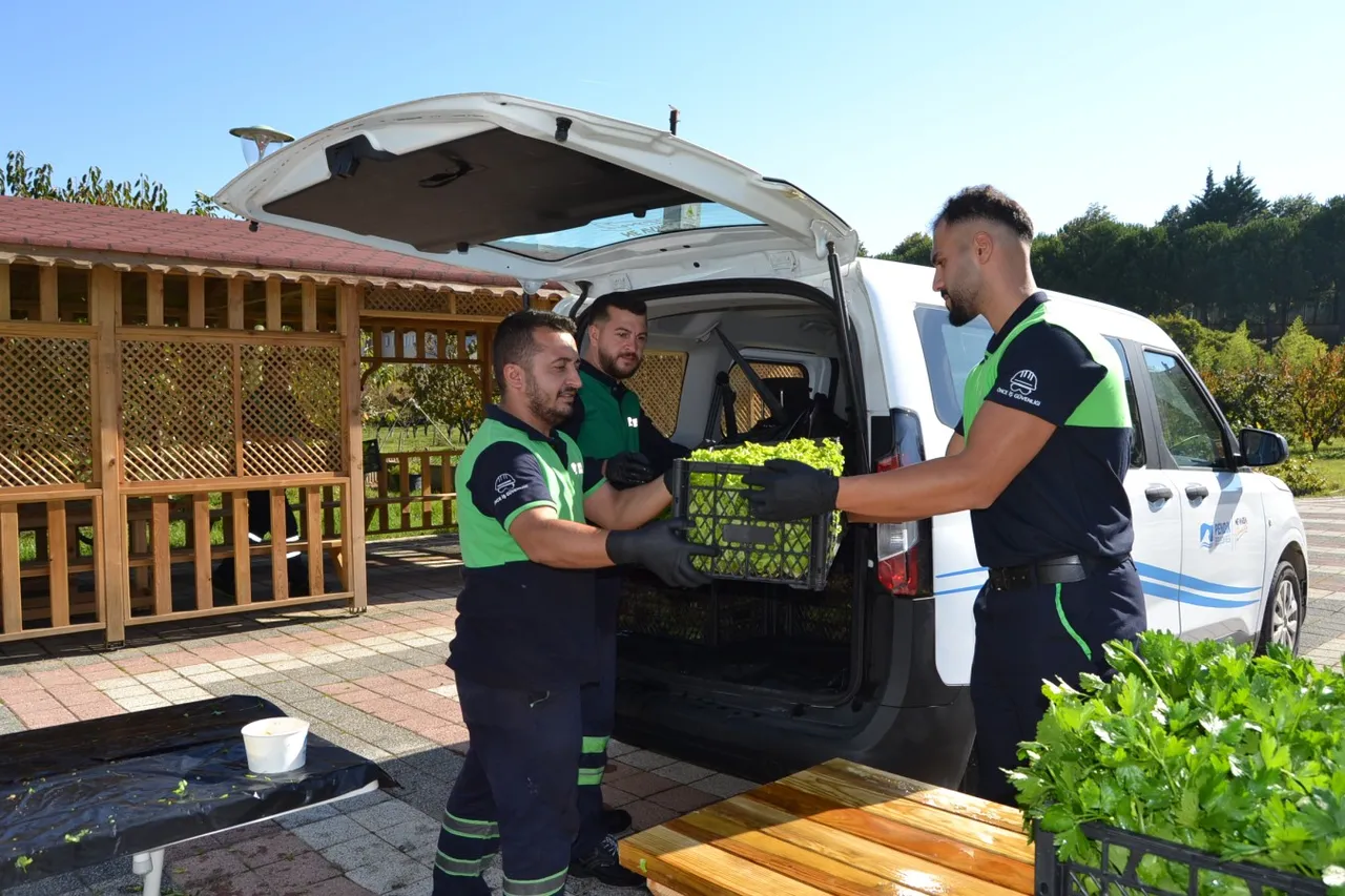 Pendik Belediyesi Tabiat Okulu’nda hasat zamanı