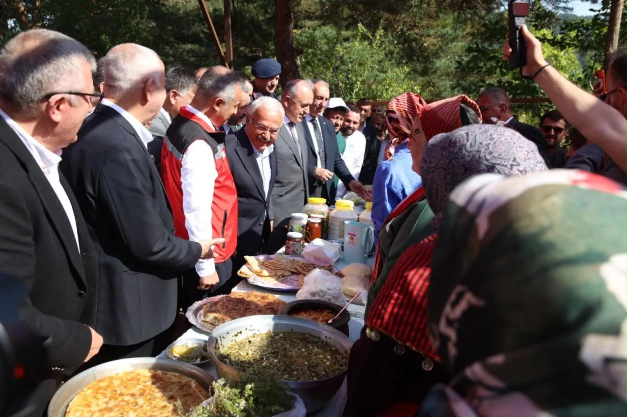 Türkiye’nin Lezzeti Akkuş şeker fasulyesinin hasadı başladı