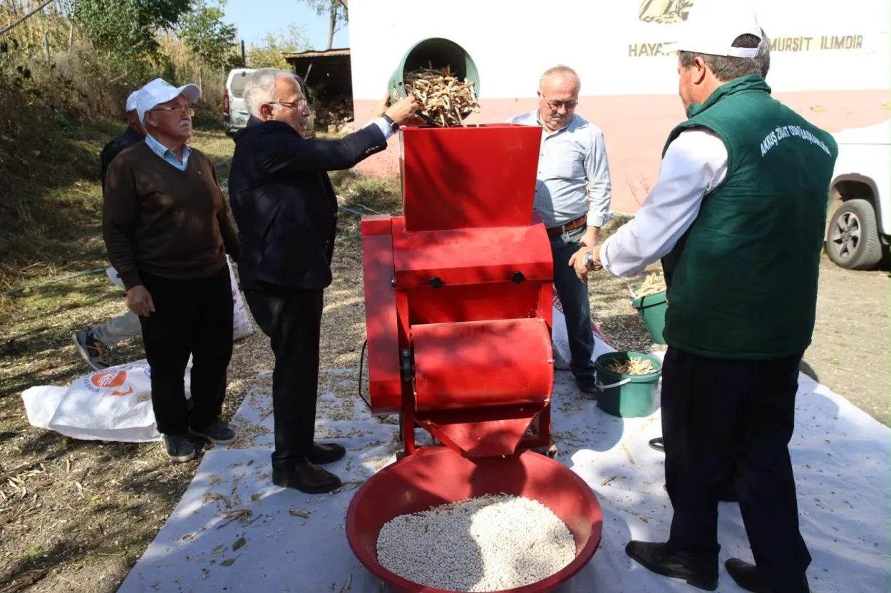 Türkiye’nin Lezzeti Akkuş şeker fasulyesinin hasadı başladı