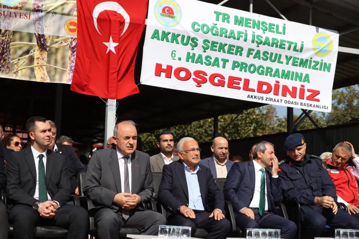 Türkiye’nin Lezzeti Akkuş şeker fasulyesinin hasadı başladı