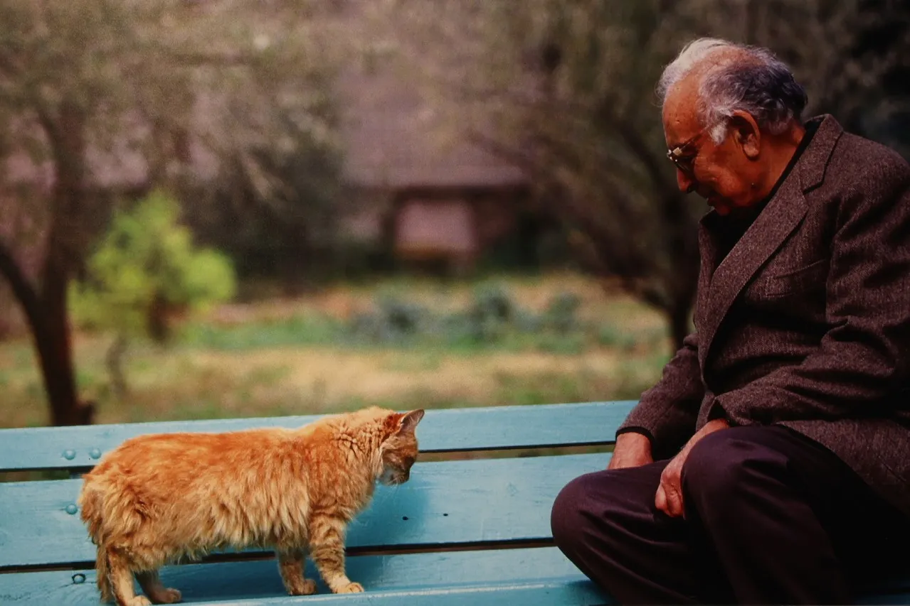 Yaşar Kemal’e sanat dolu vefa