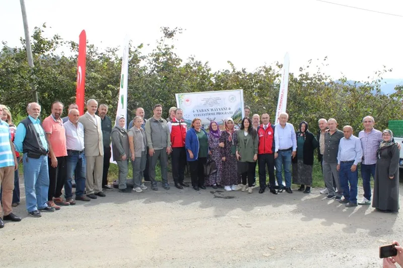 Keşap’ta doğaya sülün salımı gerçekleştirildi