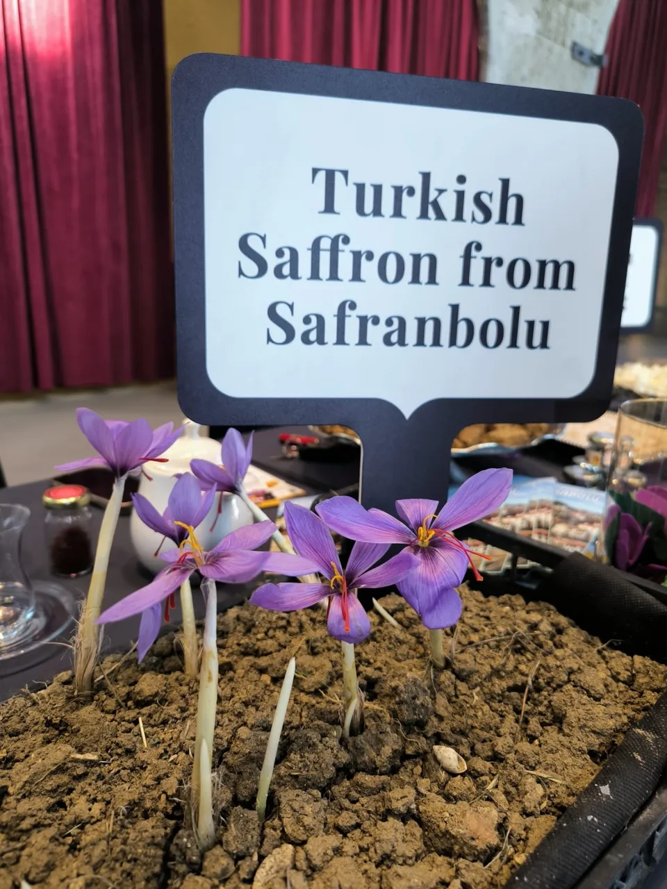 Safranbolu’nun eşsiz değerleri İstanbul’da uluslararası turizm profesyonellerine tanıtıldı