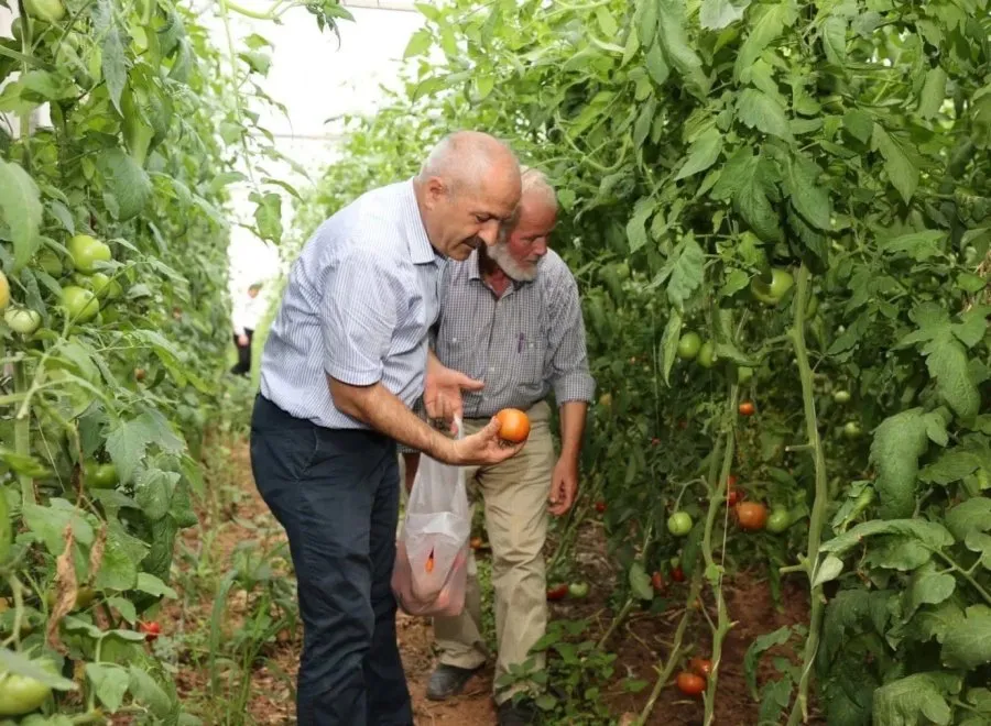Gebze’nin bereketine sahip çıkılıyor