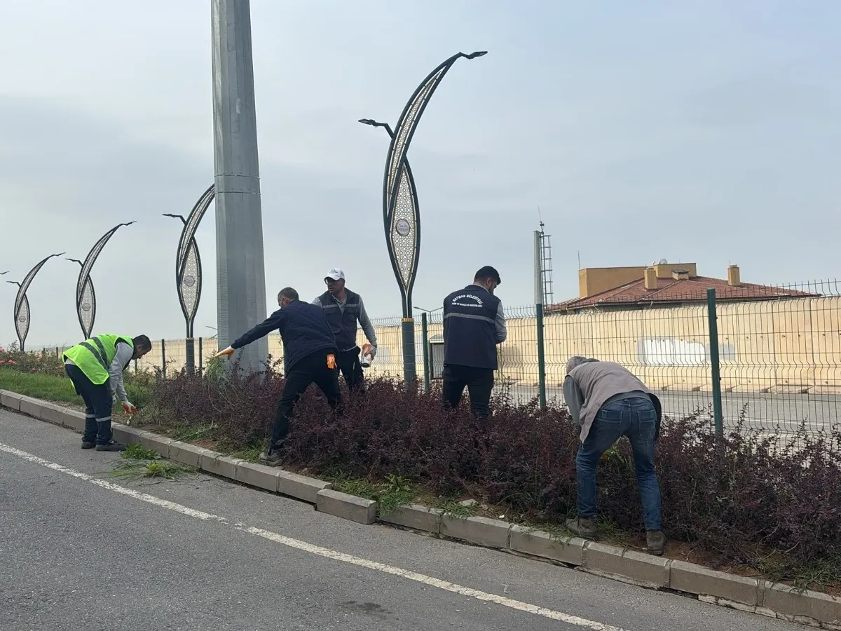 Belediye, sonbahar mevsimini etkin şekilde değerlendiriyor