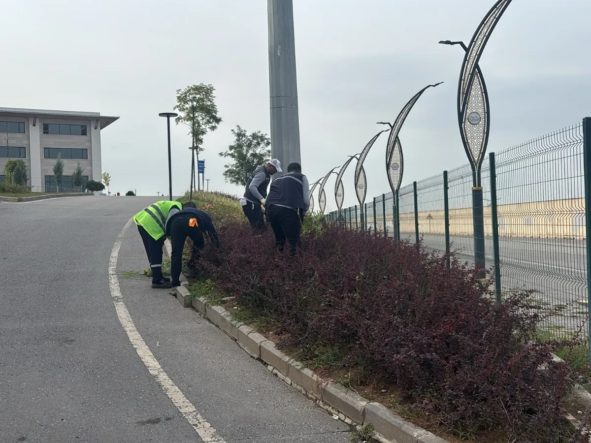 Belediye, sonbahar mevsimini etkin şekilde değerlendiriyor