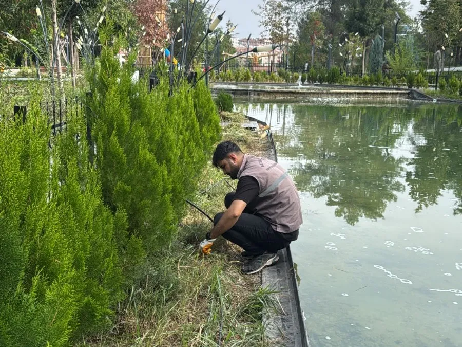 Belediye, sonbahar mevsimini etkin şekilde değerlendiriyor