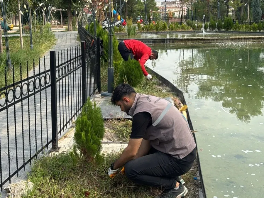 Belediye, sonbahar mevsimini etkin şekilde değerlendiriyor