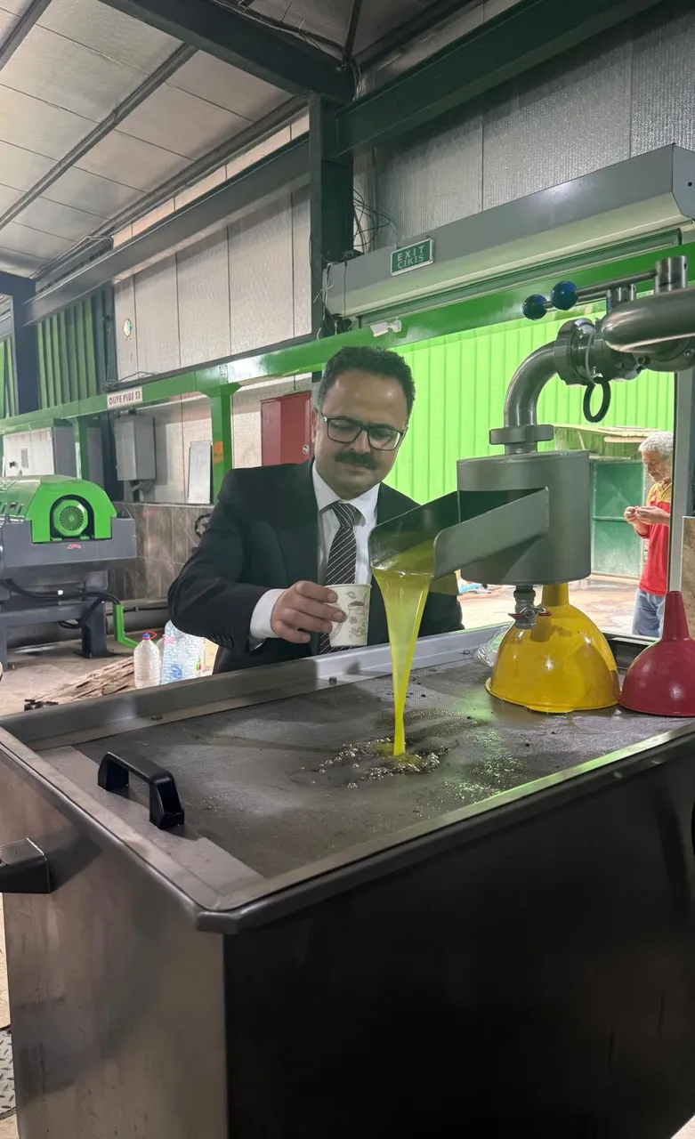 Çukurova Kaymakamı Alkan, Çukurova'da faaliyet gösteren zeytinyağı fabrikasını ziyaret etti