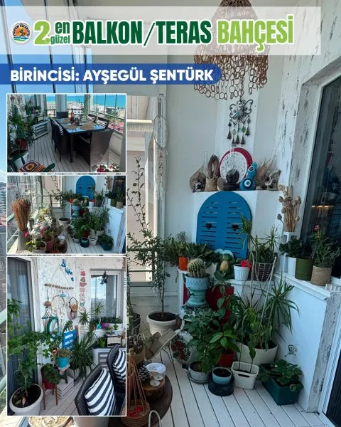 Atakum Belediyesi 2. En güzel bahçe Yarışması’nın ödül töreni Çakırlar Korusu’nda gerçekleştirilecek