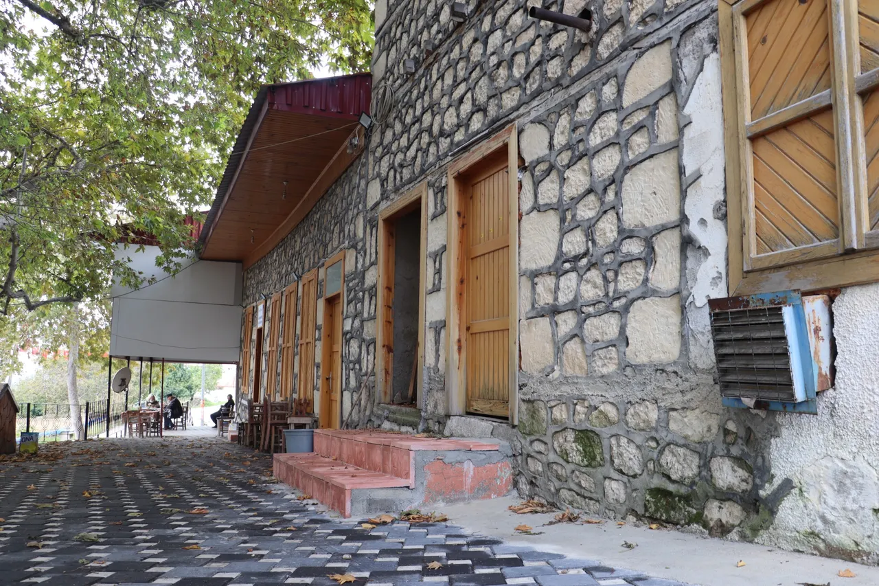 Toroslar’da asırlık çınarın gölgesi yenilendi