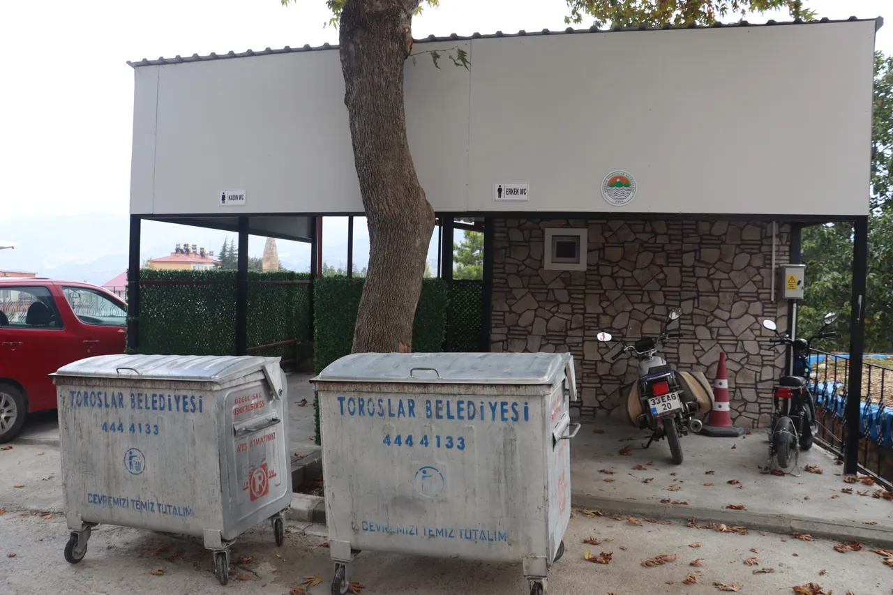 Toroslar’da asırlık çınarın gölgesi yenilendi