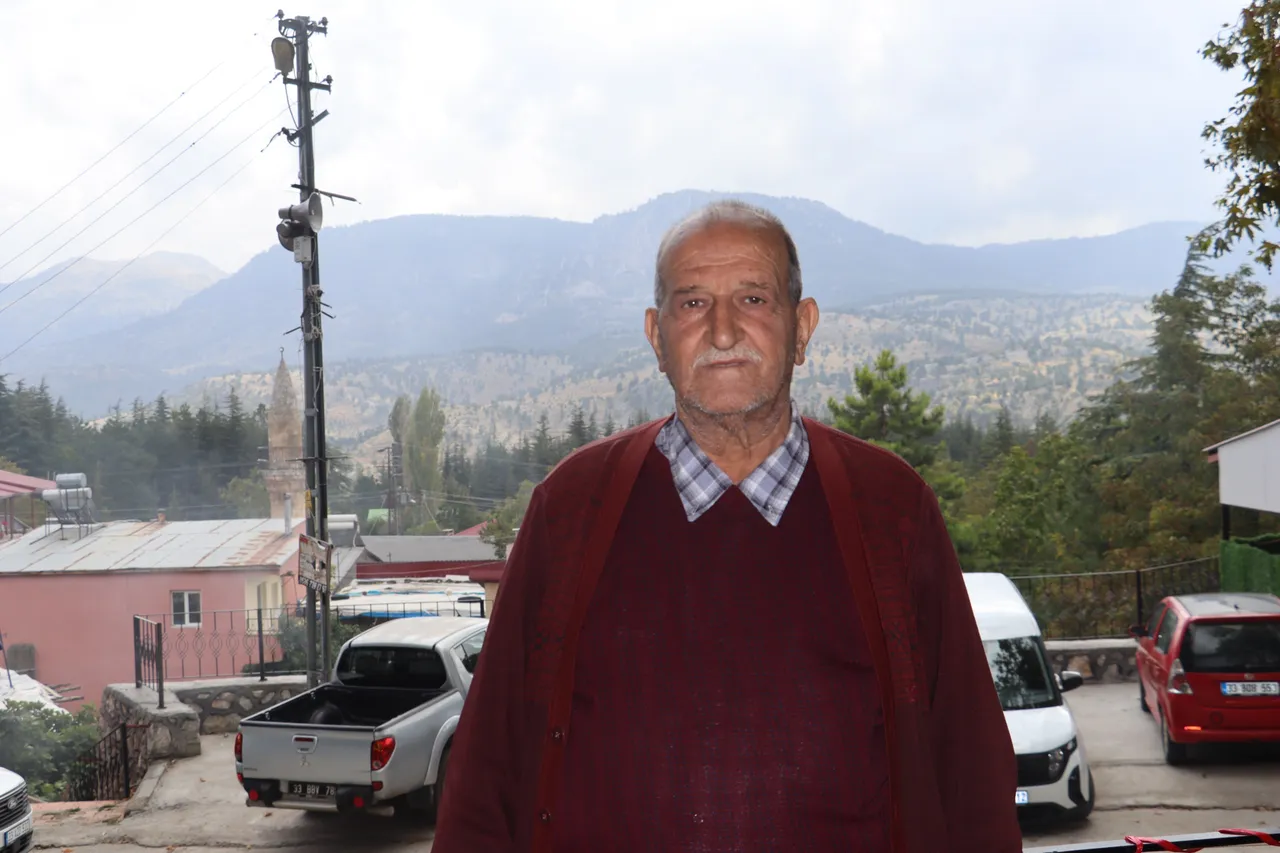 Toroslar’da asırlık çınarın gölgesi yenilendi