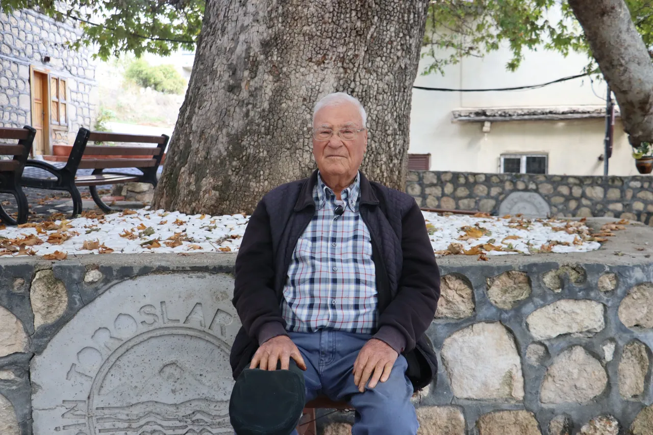 Toroslar’da asırlık çınarın gölgesi yenilendi
