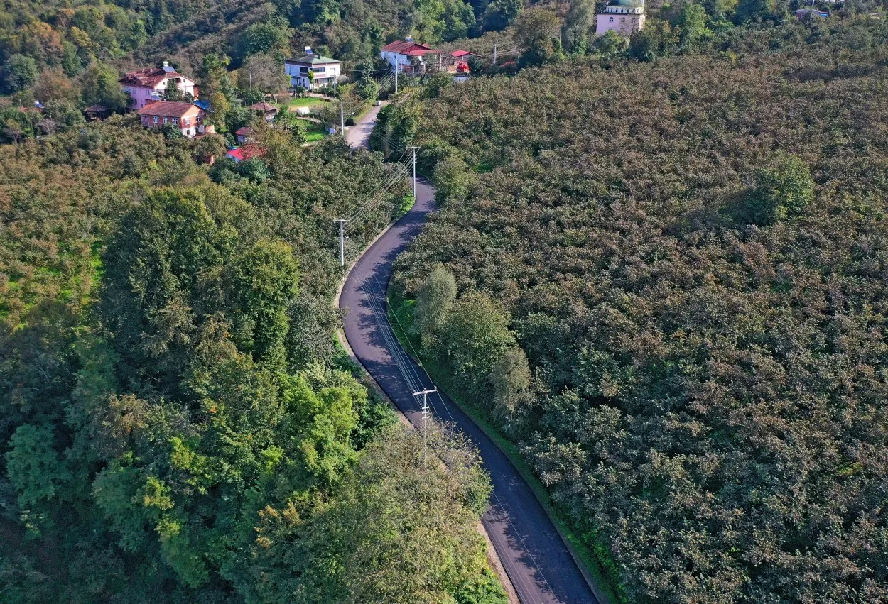 İkizce Düzpelit Mahallesi’ne sıcak asfalt