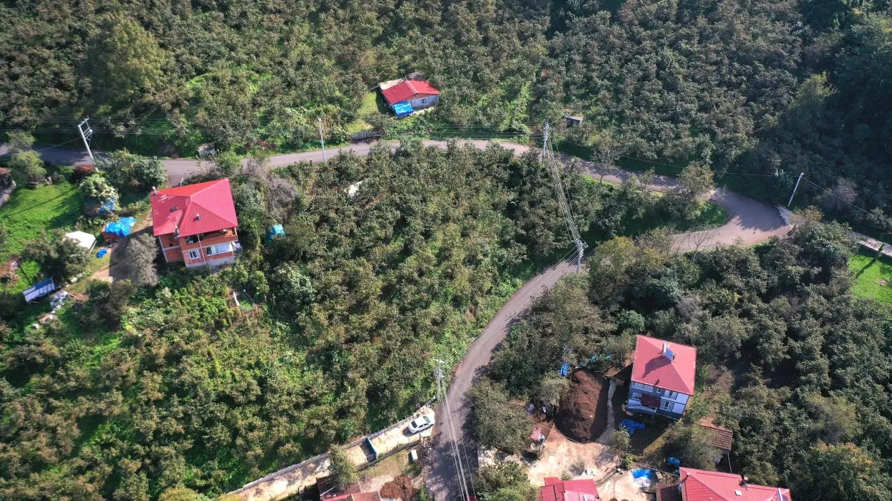 İkizce Düzpelit Mahallesi’ne sıcak asfalt