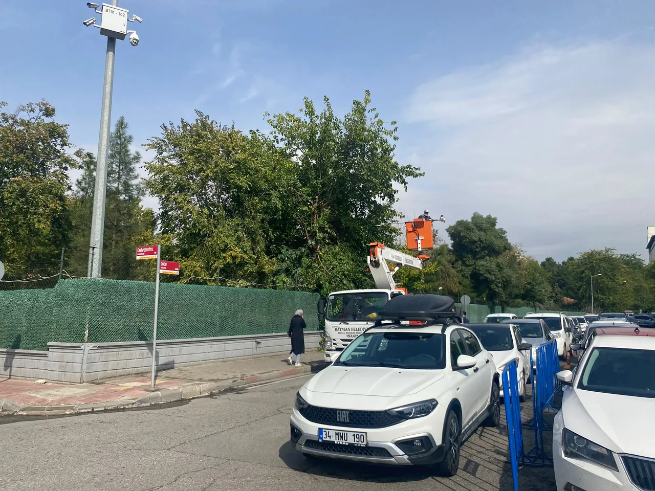 Ağaçlar Kışa ve yeni sezona hazırlanıyor