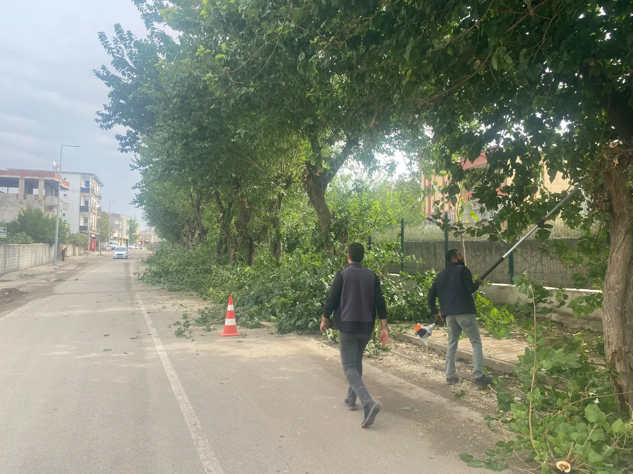 Ağaçlar Kışa ve yeni sezona hazırlanıyor