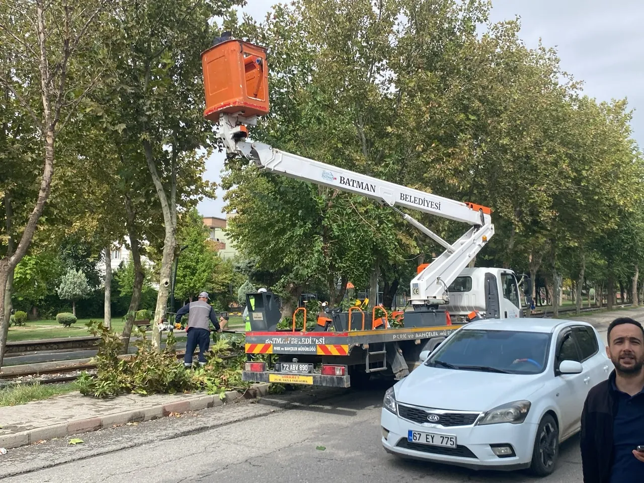 Ağaçlar Kışa ve yeni sezona hazırlanıyor
