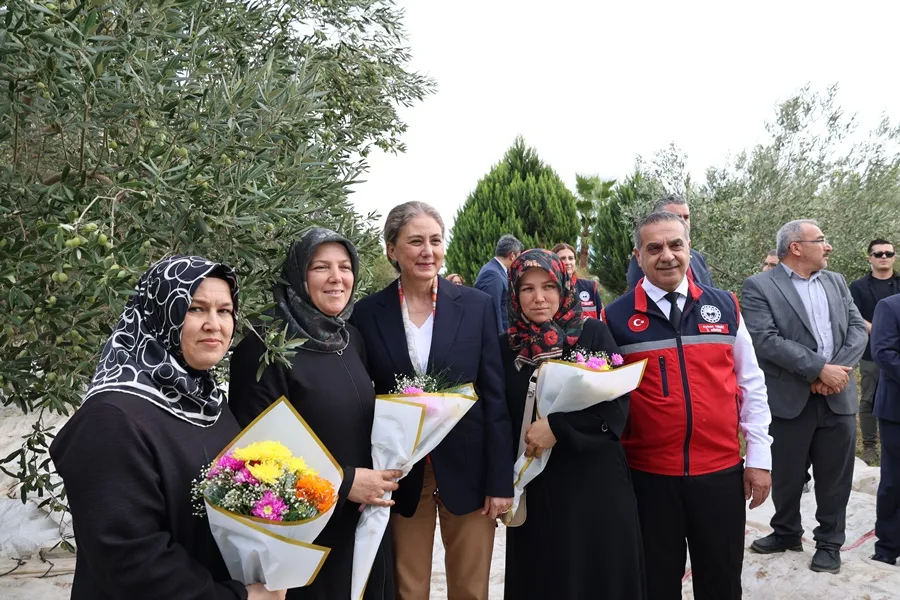Nazilli'de Aydın Valisi Varol’un katılımı ile "Zeytin Hasadı Etkinliği” gerçekleştirildi
