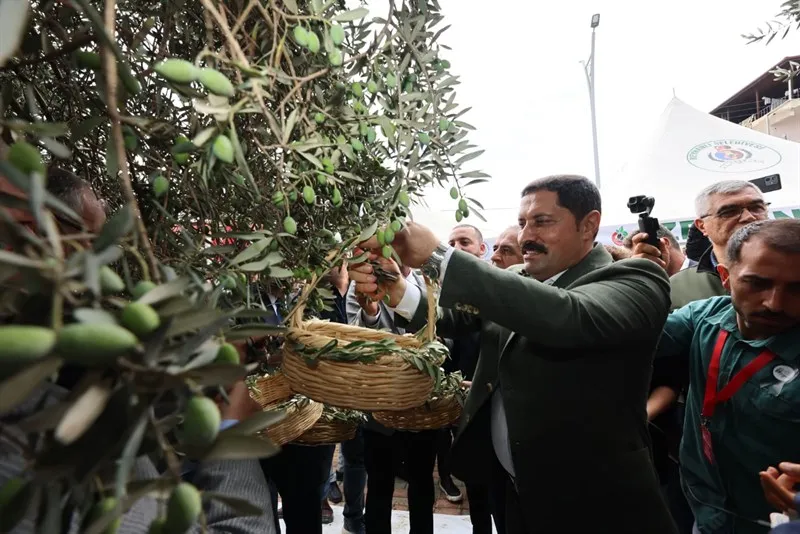 Altınözü’nde 10. zeytin, Zeytinyağı ve Gastronomi Festivali düzenlendi