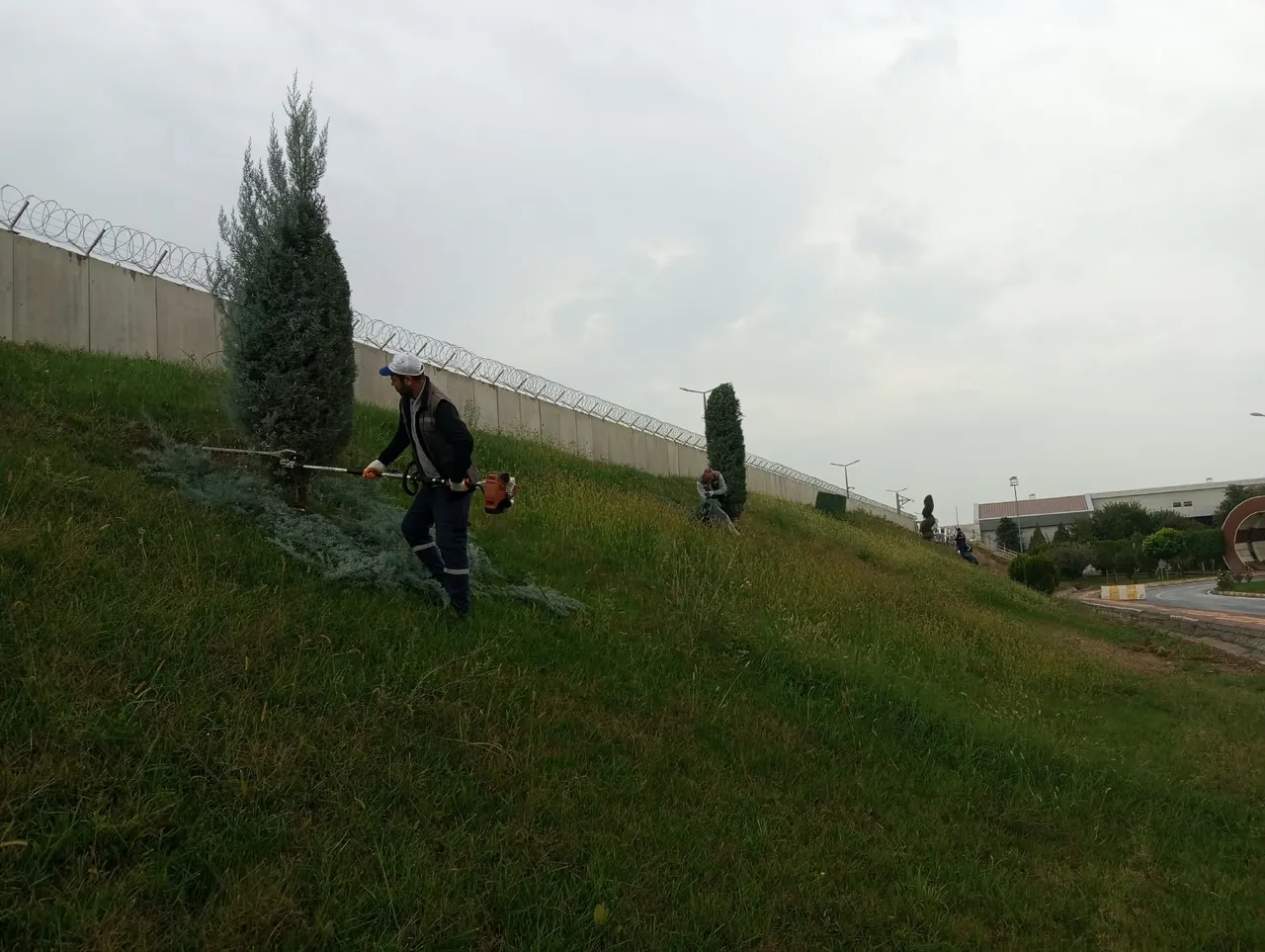 Batman’da ağaçlara estetik dokunuş