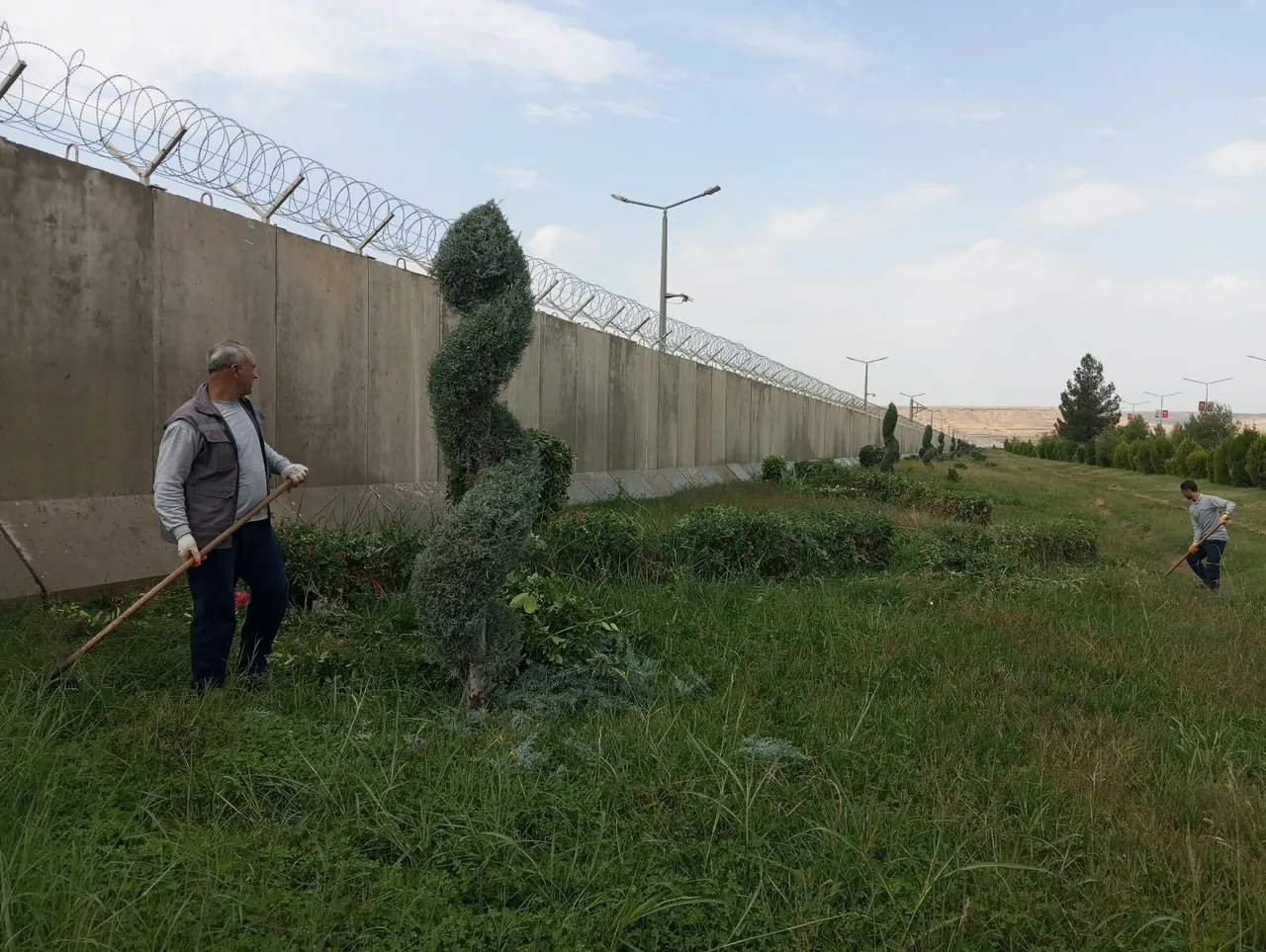 Batman’da ağaçlara estetik dokunuş