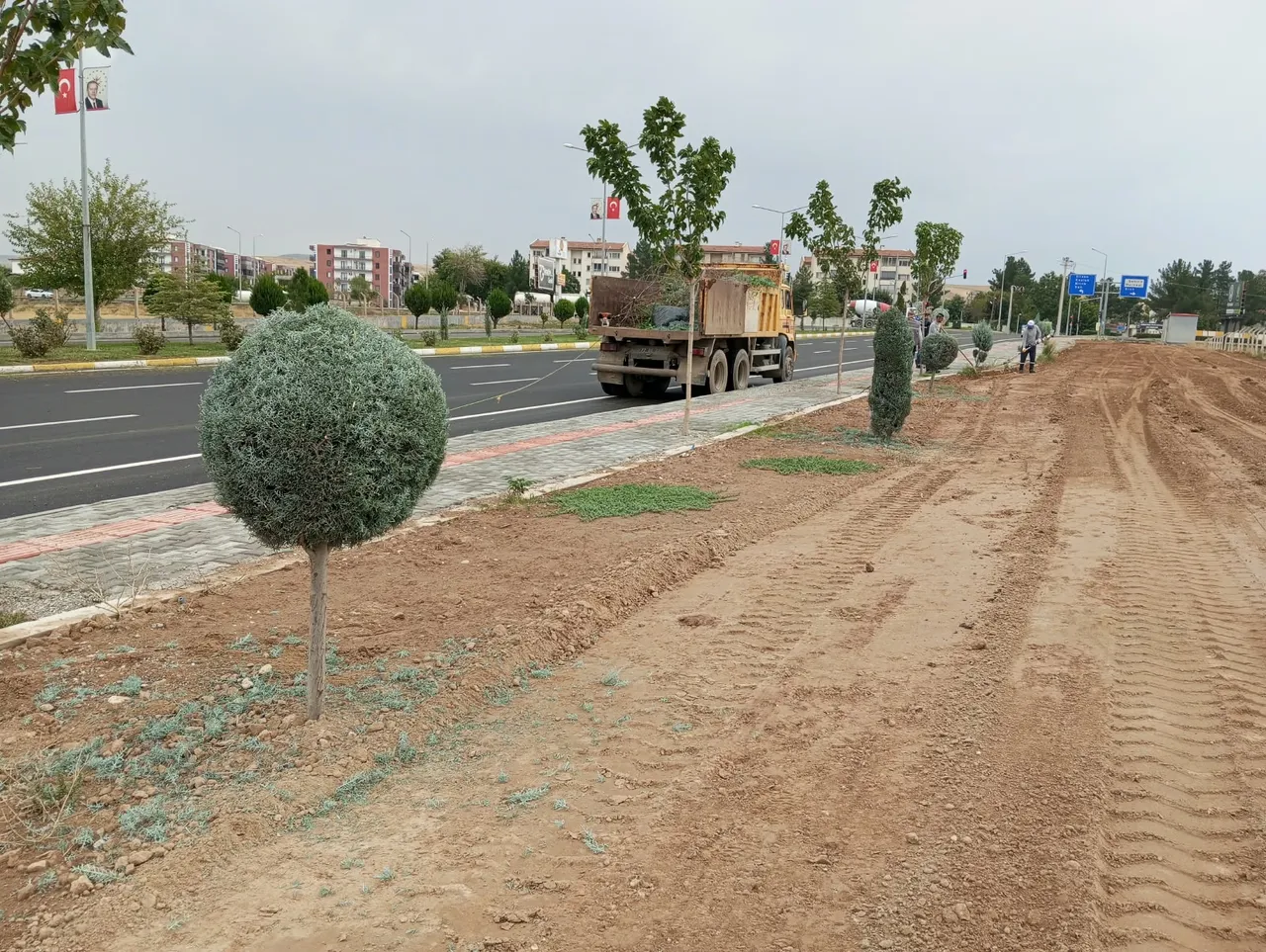 Batman’da ağaçlara estetik dokunuş
